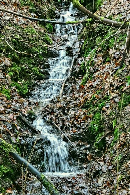 ein Zufluss zur Lude