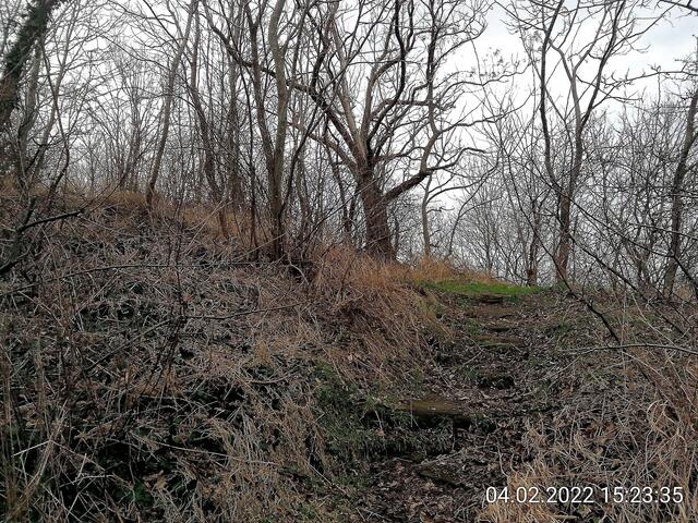 Unsere Altenburg gleicht einem Geisterwald im Februar 2022.
Die Stürme der letzten Wochen haben einen gewaltigen Schaden angerichtet und der Borkenkäfer hat den Bäumen den letzten Rest gegeben !
