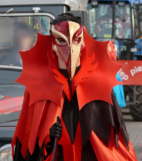Karnevalsumzug in Hannover im Februar 2007.