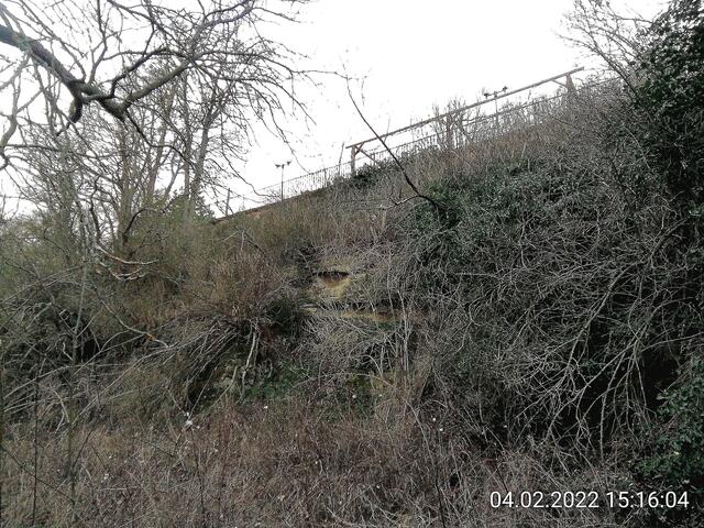 Unsere Altenburg gleicht einem Geisterwald im Februar 2022.
Die Stürme der letzten Wochen haben einen gewaltigen Schaden angerichtet und der Borkenkäfer hat den Bäumen den letzten Rest gegeben !