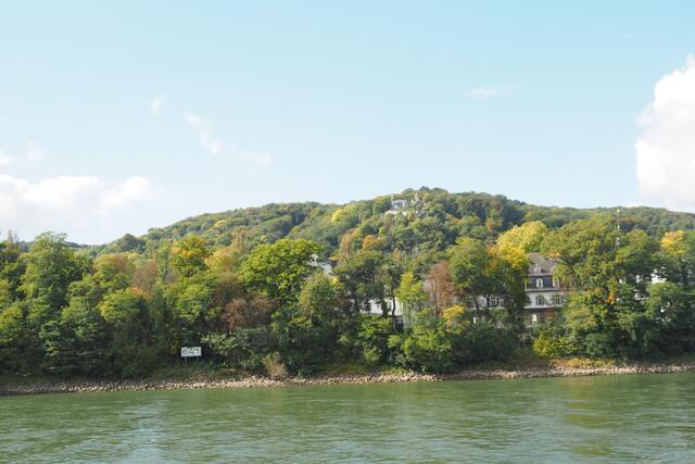 Bootsfahrt auf dem Rhein