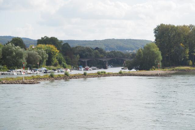 Bootsfahrt auf dem Rhein