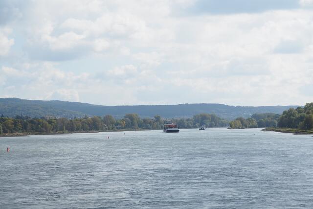 Bootsfahrt auf dem Rhein