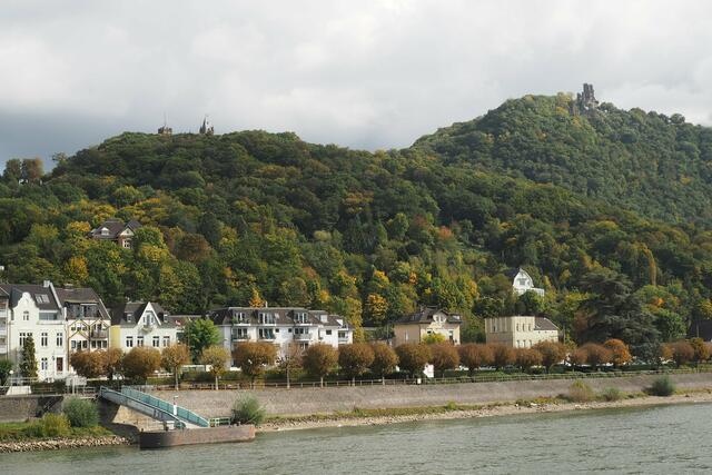Bootsfahrt auf dem Rhein