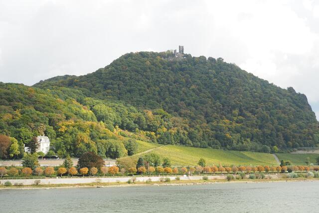 Bootsfahrt auf dem Rhein
