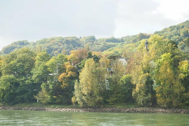 Bootsfahrt auf dem Rhein