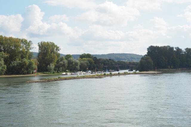 Bootsfahrt auf dem Rhein