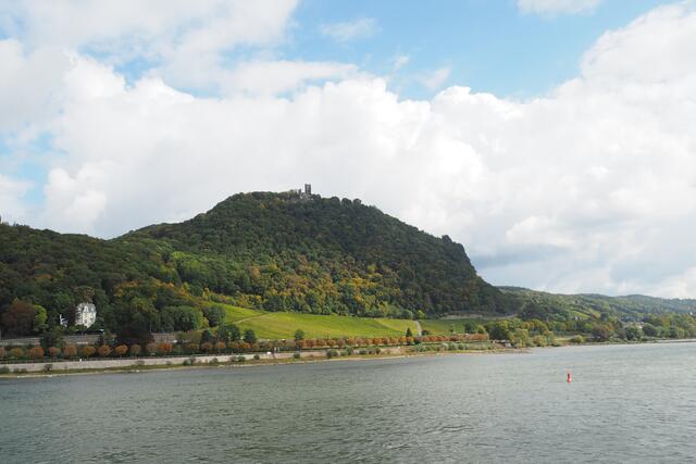 Bootsfahrt auf dem Rhein