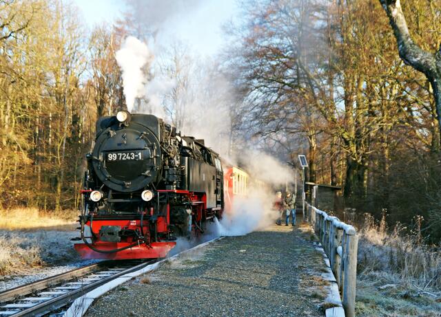 Selketalbahn am Haltepunkt Sternhaus - Haferfeld