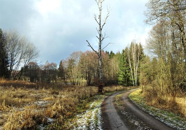 im Krebsbachtal
