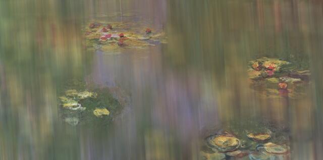 Seerosenteich, Claude Monet - Iris 2 Punkte