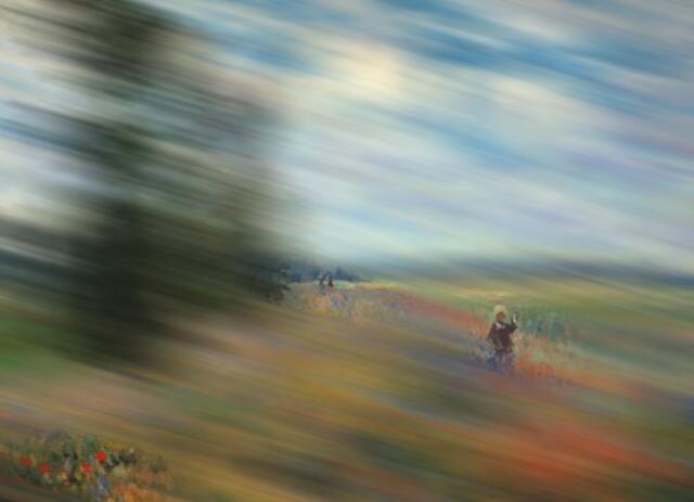Mohnfeld - Claude Monet - Susanne 2 Punkte