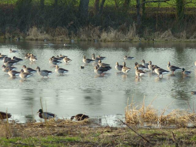 Wir sind gerne am Bibersee