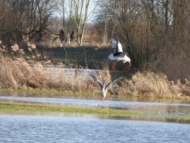 Der wehrt sich.