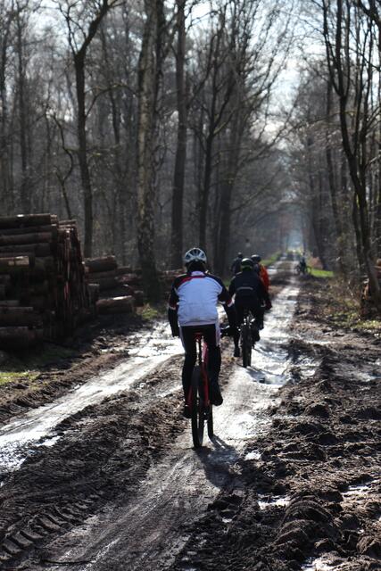 Kaiserwetter im Wald