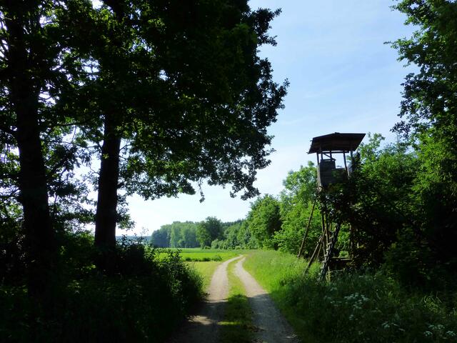Das Ende der Wanderung naht