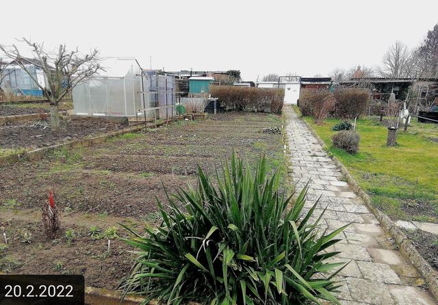 20.2.2022 !!! Gartenschau - Sonntagsbilder 2022 !!!  Temperaturen: Nachts 5,7° plus / 10:11 7,7° plus / 12:15 8,2° plus   Die Temp­eraturen in Nebra steigen heute maximal auf 8 Grad Celsius.
In der Nacht wird mit 4°C die Tiefst­temperatur erreicht. Die Niederschlags­wahrscheinlichkeit beträgt 5% und die Niederschlags­mengen sind mit 0,1 l/m² berechnet. Zudem liegt die heutige Luft­feuchtigkeit bei 53%. Sonnen­aufgang ist um 07:19 Uhr, Sonnen­untergang um 17:34 Uhr. | Foto: MW-FotoNebra