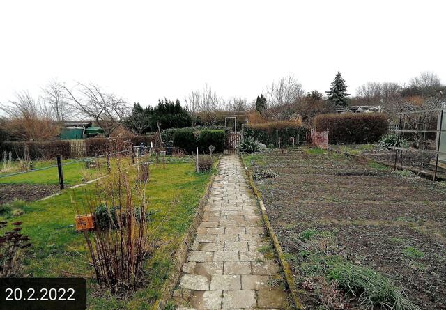 20.2.2022 !!! Gartenschau - Sonntagsbilder 2022 !!!  Temperaturen: Nachts 5,7° plus / 10:11 7,7° plus / 12:15 8,2° plus   Die Temp­eraturen in Nebra steigen heute maximal auf 8 Grad Celsius.
In der Nacht wird mit 4°C die Tiefst­temperatur erreicht. Die Niederschlags­wahrscheinlichkeit beträgt 5% und die Niederschlags­mengen sind mit 0,1 l/m² berechnet. Zudem liegt die heutige Luft­feuchtigkeit bei 53%. Sonnen­aufgang ist um 07:19 Uhr, Sonnen­untergang um 17:34 Uhr. | Foto: MW-FotoNebra