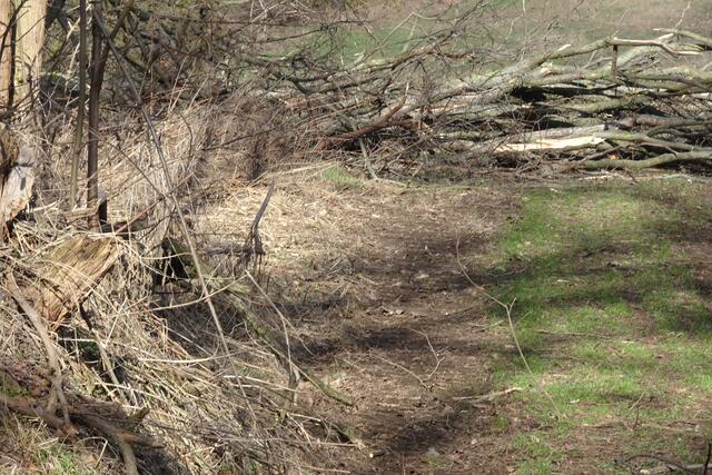 Sturmschäden am Einetalweg