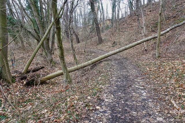 Waldbadweg