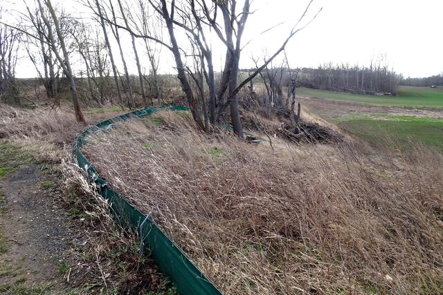 hier im Einetal bei Westdorf befindet sich ein Krötenzaun. Vielleicht hat es mit der zu schaffenden Umgehungsstraße zu tun?