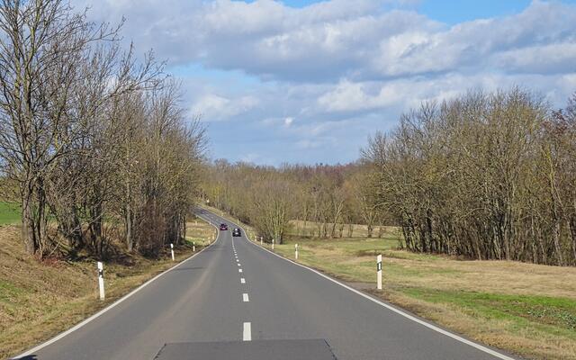 Landstraße zwischen Welsleben und Westdorf