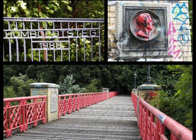 Der Humboldtsteg (benannt 1902 nach Alexander von Humboldt) in Gesundbrunnen ist eine 
Fussgängerbrücke am Humboldthain über die ehemalige Stettiner Bahn. Heute verkehrt dort u.a. die S-Bahn Ringlinie.  Auf der Seite des Humboldthaines befindet sich ein Reliefbild mit Humboldts Lebensdaten. Die Brücke wurde ca. 1987/88 saniert.