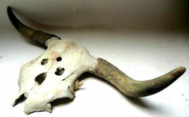 Schädelmaske aus  Zyviec Süpolen