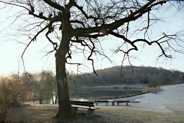 Ein Spaziergang rund um den Europaweiher