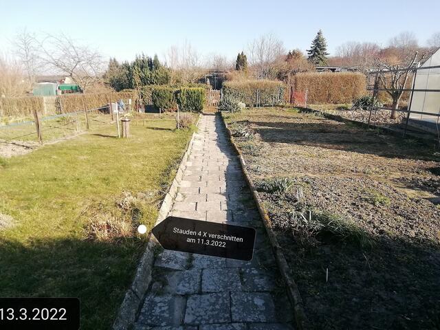 13.3.2022 !!! Gartenschau - Sonntagsbilder 2022 !!!  Temperaturen: Nachts 6,7° minus / 10:19 3,7° plus / 12:31 11,8° plus
Es ist noch fast kein Unterschied zusehen,
nur das Unkraut wächst und es gab viel Nachtfrost in dieser Woche bis minus 7,1 Grad , in der Sonne waren es dann gestern 23 Grad, heute ist fast windstill ,der Taupunkt lag heute bei 10 Grad minus, noch nicht mal die Autoscheiben waren zugefroren ! | Foto: MW-FotoNebra