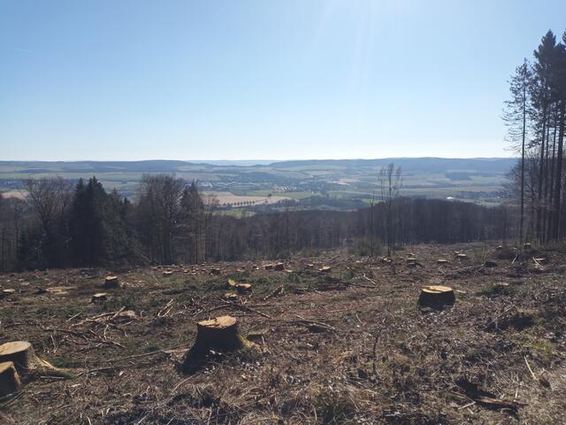 Am Ick Förtserblick