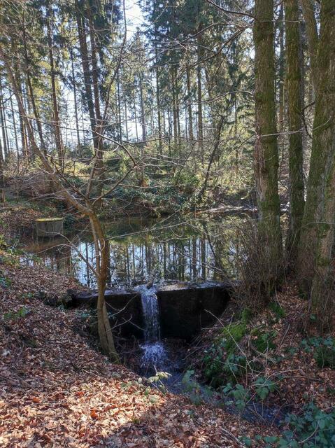 Es rauscht der Bach | Foto: Manfred Held