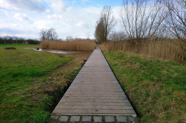 Der Bohlenweg im Wietzepark ist wieder repariert und lädt zum Spaziergang ein.