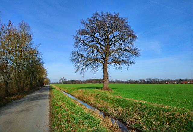 Ein schöner Weg zwischen Mellendorf und Elze
