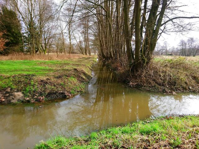 Gut gefüllte Wassergräben in der Isernhagener Feldmark