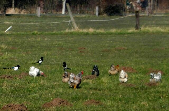 Irgendwo in Bothfeld