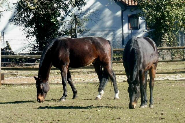 Isernhagen Süd, Fuhrbleek/Kahlendamm