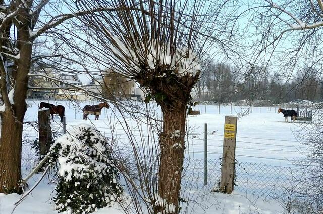 Bothfeld, Laher Wiesen
