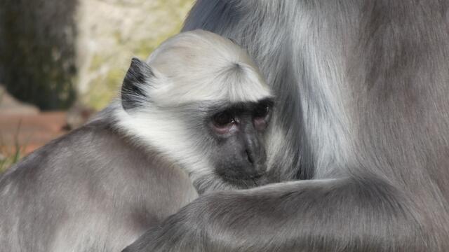 Das "Mami, ich will hier weg-Gesicht"