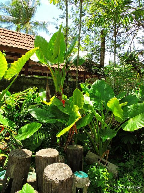Khaolak Paradise Resort