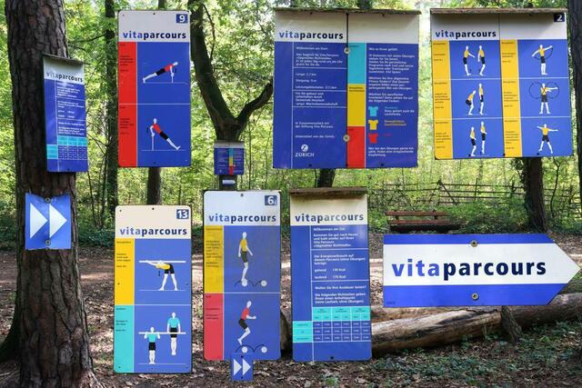 Vita-Parcours 3 (Schilder aus Haßloch in der Pfalz)