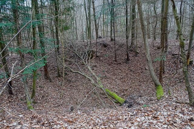 Erdfall in der Mooskammer