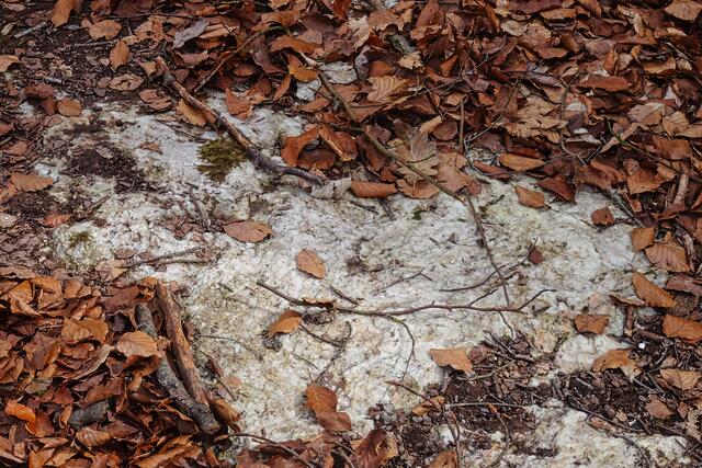 Marmor auf dem Karstwanderweg in der Mooskammer