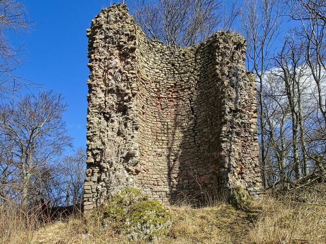 Burgruine Neu - Morungen