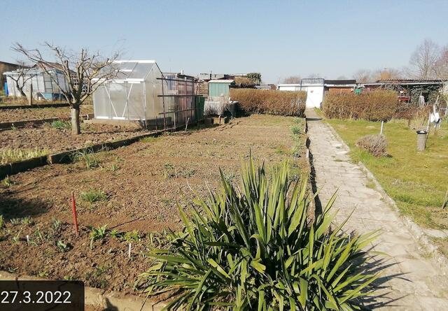 27.3.2022 !!! Gartenschau - Sonntagsbilder 2022 !!!  Temperaturen: Nachts 11,4° plus / 10:09 14,7° plus / 13:16 16,8° plus
Es ist noch fast kein Unterschied zusehen,
nur das Unkraut wächst und es gab viel Nachtfrost in dieser Woche bis minus 2,1 Grad , in der Sonne waren es dann gestern 24,8 Grad, heute ist fast windstill ,der Taupunkt lag heute bei 7 Grad plus ! | Foto: MW-FotoNebra