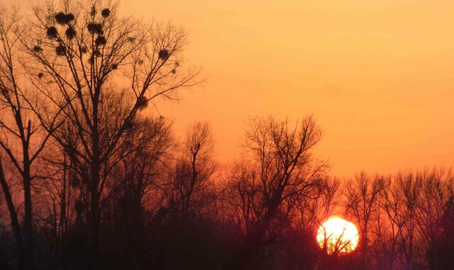 Sonnenuntergang Koldingen - Feierabend