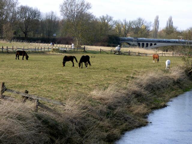 An der Nabu Brücke in Grasdorf mit Blick zum Wasserwerk