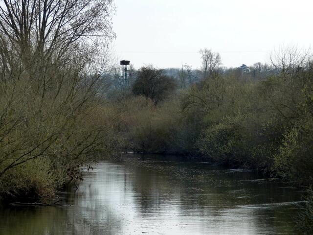 Blick von der Brücke in Grasdorf nach Süden über die Leine