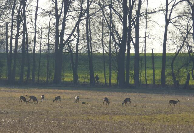 Radfahrer am Fuchsbach