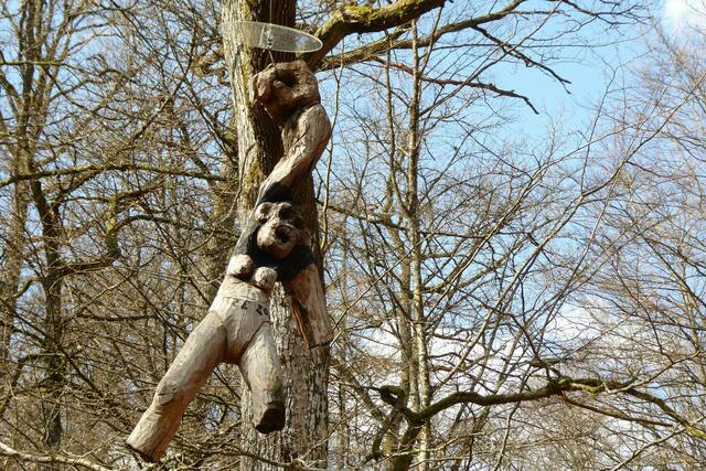 "Äffin" hängt an einem Baum nahe Laisa.